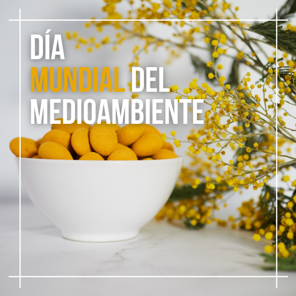 Día mundial del medioambiente