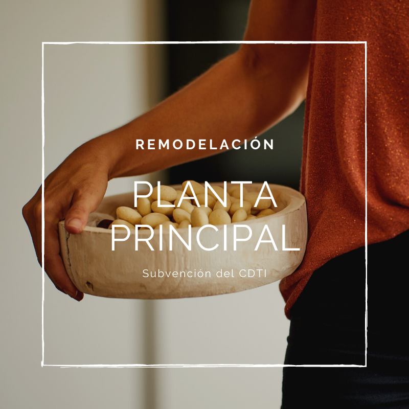 Proyecto de remodelación de la planta principal